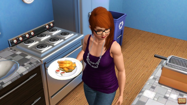 Koning Krokant Pro Friteuse en Vrieshap Pro IJsmachine (premium content voor De Sims 3)