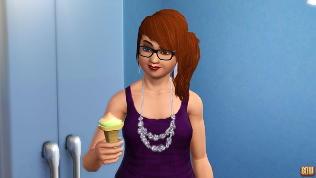 Koning Krokant Pro Friteuse en Vrieshap Pro IJsmachine (premium content voor De Sims 3)