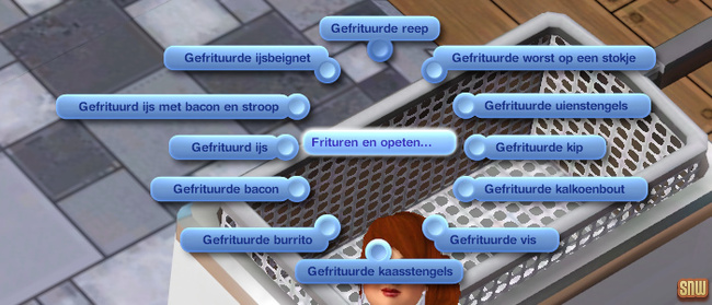 Koning Krokant Pro Friteuse en Vrieshap Pro IJsmachine (premium content voor De Sims 3)