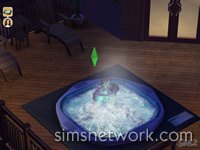 The Sims 2