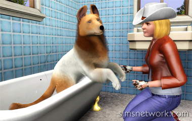 De Sims 3 Beestenbende