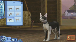 The Sims 3 Pets