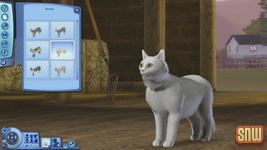 The Sims 3 Pets