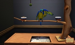 De Sims 3 Beestenbende: Vogels