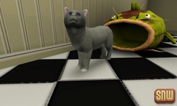 De Sims 3 Beestenbende: Oopsie-Daisy de kat