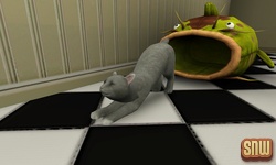 De Sims 3 Beestenbende: Oopsie-Daisy de kat
