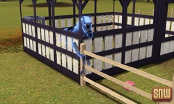 De Sims 3 Beestenbende: Estela Marshall het spookpaard