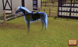 De Sims 3 Beestenbende: Estela Marshall het spookpaard