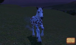 De Sims 3 Beestenbende: GooGoo het paard