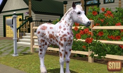 De Sims 3 Beestenbende: GooGoo het paard