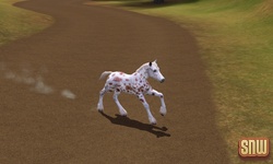 De Sims 3 Beestenbende: GooGoo het paard