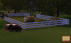 De Sims 3 Beestenbende: Appaloosa Plains