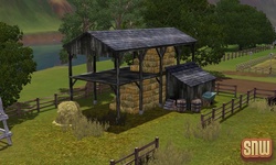 De Sims 3 Beestenbende: Appaloosa Plains