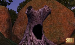 De Sims 3 Beestenbende: Appaloosa Plains