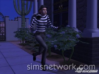 The Sims 2