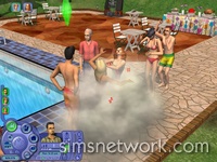 De Sims 2