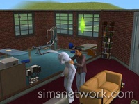 The Sims 2