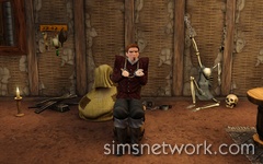 De Sims Middeleeuwen