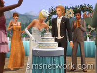 De Sims 3 Levensweg