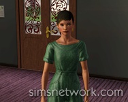 De Sims 3 Hidden Springs