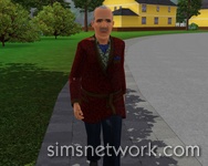 De Sims 3 Hidden Springs