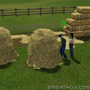 De Sims 3 Huisdieren