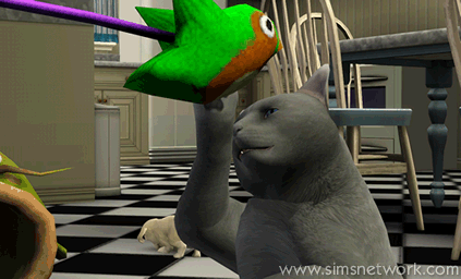 De Sims 3 Beestenbende: Oopsie-Daisy de kat aan het spelen met een vogelspeeltje