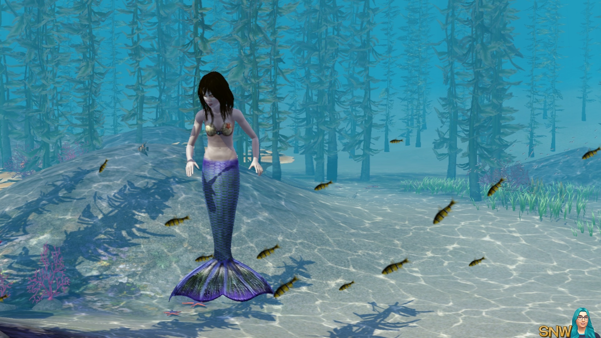 Русалки острова мако сирена. Симс 3 райские острова ламинария. Симс 3 русалки. Игра симс 3 русалки. Дети русалки в симс 3.