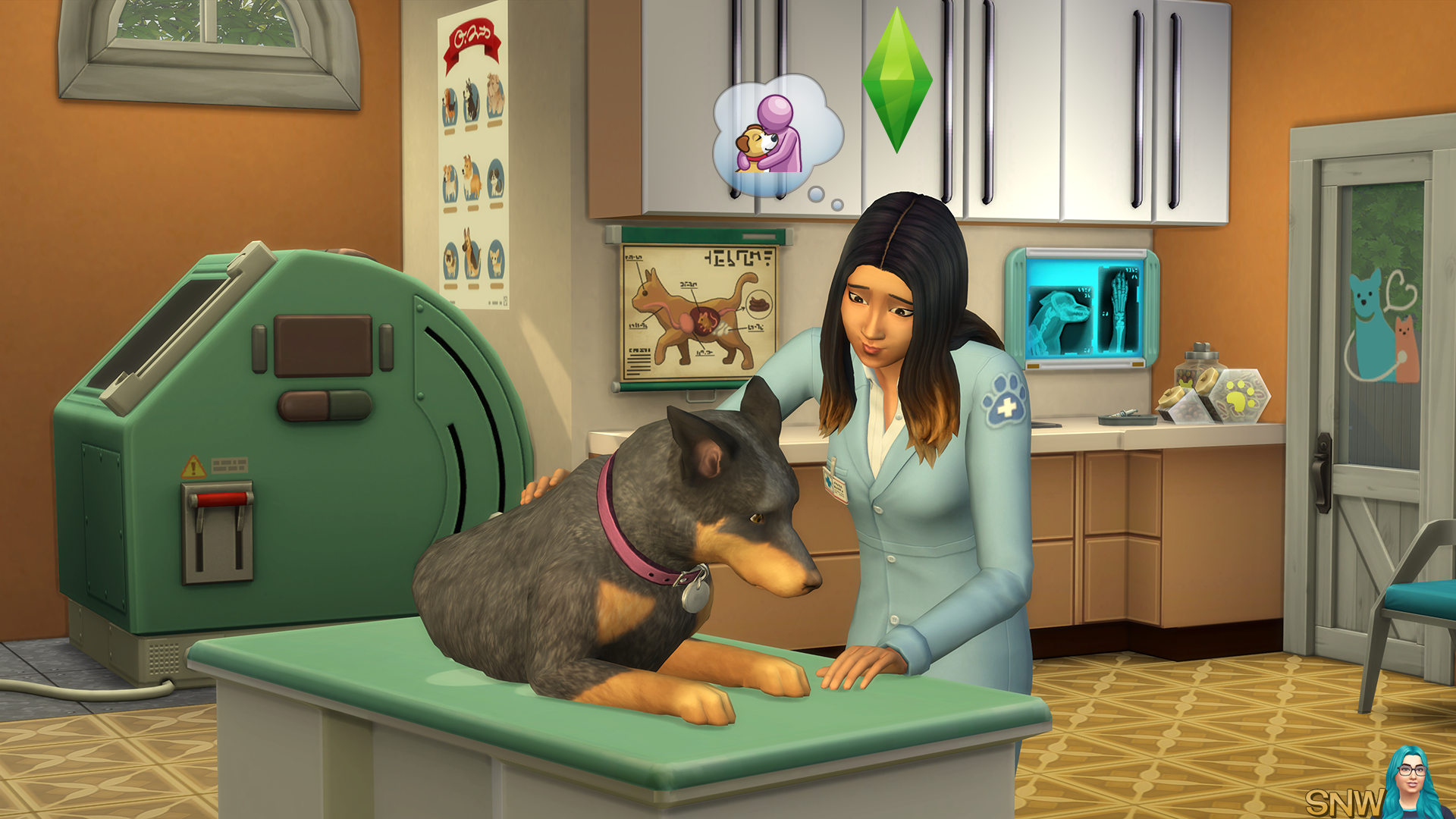 The Sims 4: Cats & Dogs